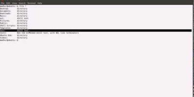 Shell Scripting Tutorial-14: Convert & Copy Files With ‘dd’
