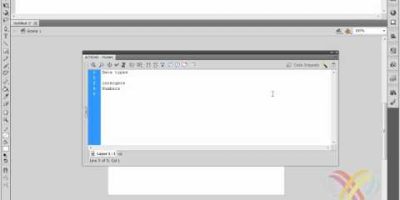 lesson 02: What is variables and data types in Action Script 3.0 (Hindi video tutorial)