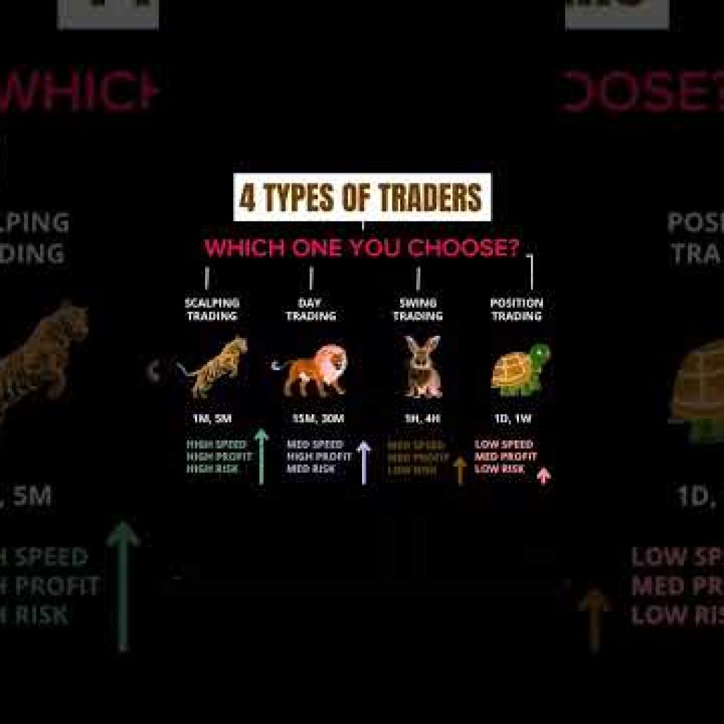 4 Types Of Traders #fx #motivation #millionaire #daytrader #trading #stockmarket #forex #crypto