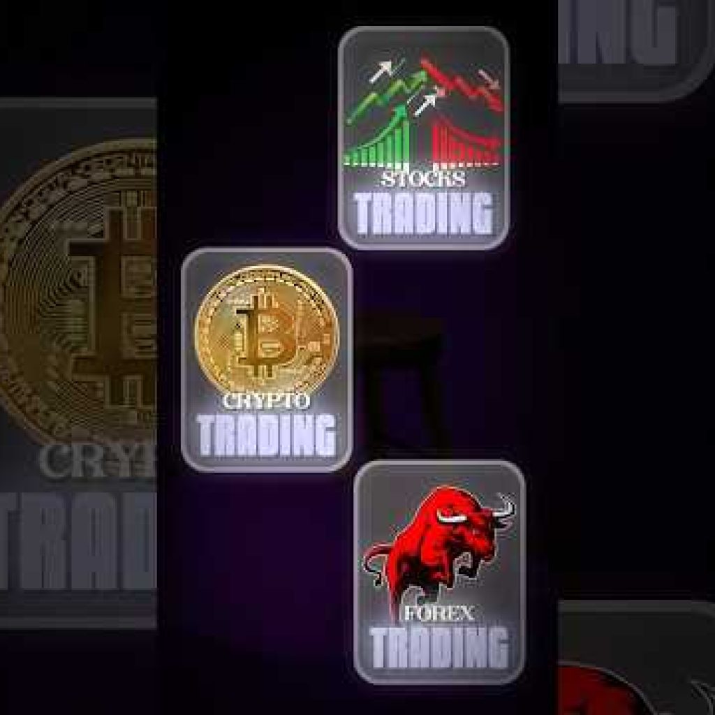 Stocks Vs Crypto vs Forex what to do?