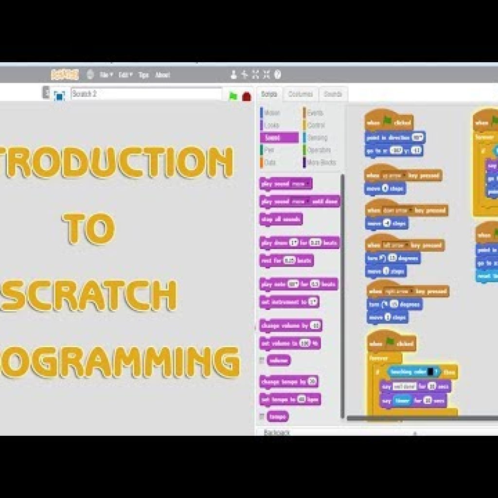 INTRODUCTION TO SCRATCH PROGRAMMING