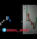 ๐ง๐ฅ๐๐๐๐ก๐ ๐๐ข๐ง IQ OPTIONS ๐ฎ๐ฌ๐ฎ5 ๐๐ข๐ฅ ๐๐๐๐๐ก๐ก๐๐ฅ โ