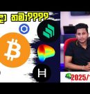 සදුදා තමා???? BTC  $88K?? | Crypto Market Update| BTC and ALT Coin Update by ROG www.rogcrypto.com
