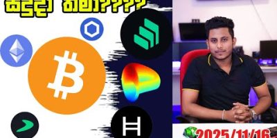 เทเถฏเทเถฏเท เถญเถธเท???? BTC $88K?? | Crypto Market Update| BTC and ALT Coin Update by ROG www.rogcrypto.com