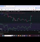 AI Trading Strategy in Python | Algorithmic Trading for Beginners | LIVE DEMO | NIFTY | 17 Nov | Mon