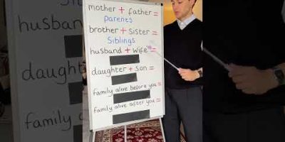 Family vocabulary in English #englishlesson #englishteacher #learnenglish #englishtips #ingles #ESL