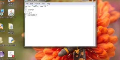 Python Interactive Mode and Script Mode