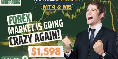 Forex AI Trading Bot | Smart Automated Trading Strategy FX 2026#trading #forex #fxtrading #money