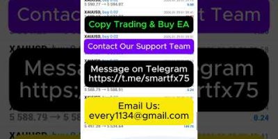 Dream EA Live Account Profit 💰 100% Automated #trading #highfrequencytrading #forex