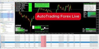 Automated AI Forex Trading Bot Strategy for Beginners and Pros#forextrading #trading #forex