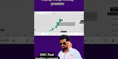 8 February analysis