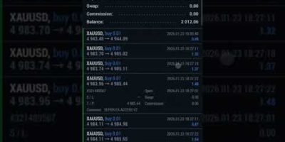 I will offer forex trading bot, trading bot, forex bot, forex ea, forex trading bot #expertadvisor