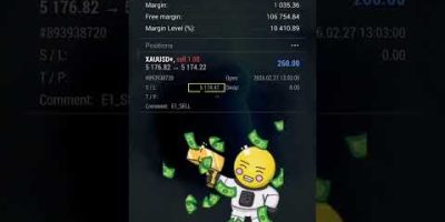 Forex Robot, Forex Boat