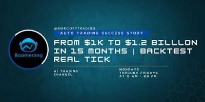 Boomerang – From $1K to $12B in 15 Months Auto Trading Success Story