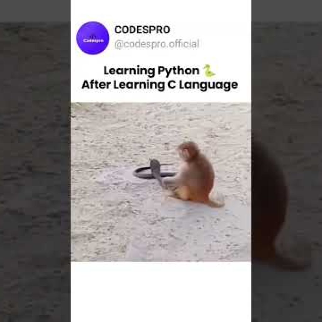 Learn python after learning C language 😂  #python #c #programming  #coding #development #memes
