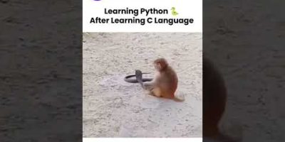Learn python after learning C language 😂 #python #c #programming #coding #development #memes
