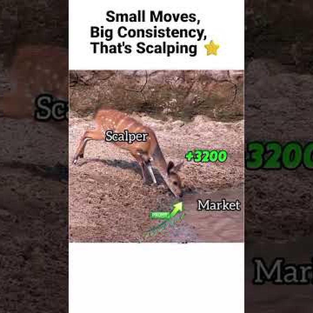 Scalper Move #trading #cryptotrading#stockmarket #nifty #forex  #tradesetup #scalping