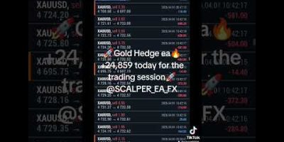 🚀Gold Hedge ea🔥+24,859 today for the trading session🚀@SCALPER_EA_FX