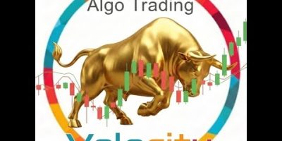 XAUUSD Velocity Algo Trading | Gold EA 24/7 – LiveAiBots ✨