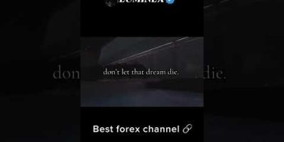 JOIN THE BEST IN BIO #forex #money #xauusd #trader #forextrading
