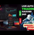 GOLD Auto Trade Bot | AI GOLD BOT | Live Trade XAUUSD | XAUUSD Auto Trade by Rubas Ali