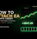 Learn #Forex #synthetics #forextradingjourney #robot #expertadvisor