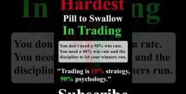 THE Hardest Pill To Swallow In Trading | TradingBotLab