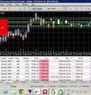 4xGoldenFisher Bot live trading Metals, Cryptos, Indices and Forex pairs.