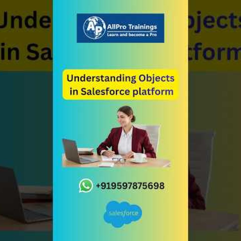 Understanding Objects in Salesforce Platform