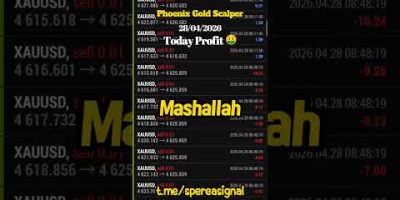 🦅 Phoenix Gold Scalper 28-04-2026 Performance #xauusd