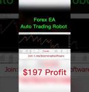 #boomandcrash #trading #autotradingrobot #spikedetector #spikeindicator #boomandcrashtrading #lagos