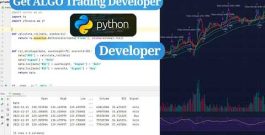 Python Algo Trading Developer | Trading Bot, Strategy & Auto Trading Setup (Bridge)-2026