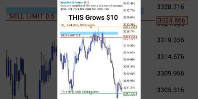 I Reveal My Trading Strategy That Grows $10