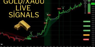 ๐ด Live 24/7 Gold (XAUUSD) | 1-Minute Signals & Real-Time Trade Charts
