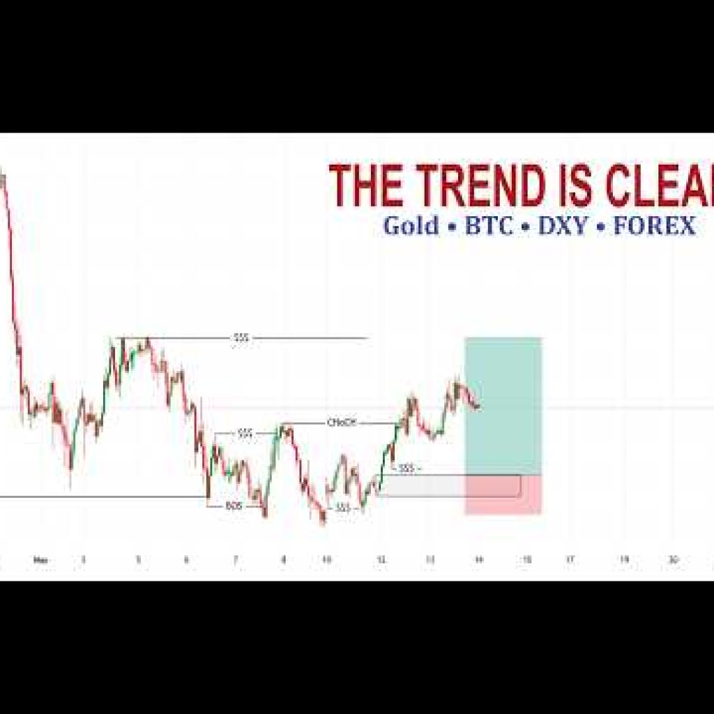 Midweek Market Update | DXY Reveals Remaining Weekly Direction (Gold BTC & Forex)