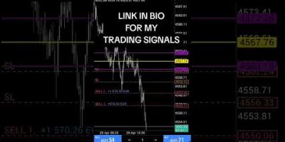 How Smart Traders Catch XAUUSD on MT5 #xauusd #tradingbot #metatrader5