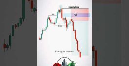 80% Win Rate FVG Strategy 🔥 | Make Dollars in Forex, Crypto & Stocks #fxsignals #forexsignals