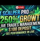 167% Growth Already Done On $100 Deposit – PT Scalper Pro v10.1 MT5 EA | TradingBotLab
