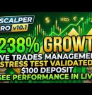 261% Growth Already Done On $100 Deposit – PT Scalper Pro v10.1 MT5 EA | TradingBotLab