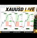 Gold live-XAUUSD My MT5 BOT