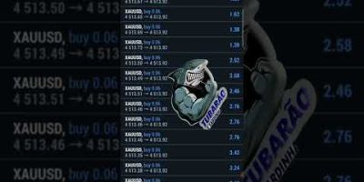 FOREX SIGNALS FX #trader #tradeiniciante #daytrade #ganharemdolar #trade