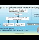 Introduction to Programming in Python. Introducing basic concepts of the language for the viewers.
