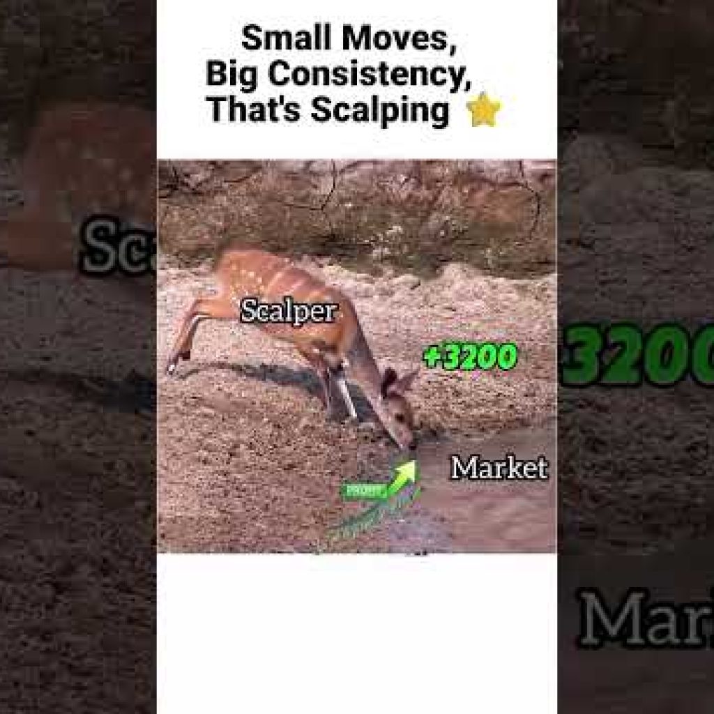 Scalper Move 50 Lakh View #trading #cryptotrading#stockmarket #nifty #forex  #tradesetup #scalping