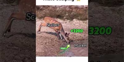 Scalper Move 50 Lakh View #trading #cryptotrading#stockmarket #nifty #forex #tradesetup #scalping