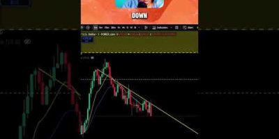 1% Traders Only Can Make This Kinds Of Decession in Their Trading