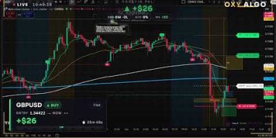 🔴 LIVE Forex Trading 24/7 — AI Bot Day Trading Setups | Stocks, Crypto & Investing | OXY ALGO
