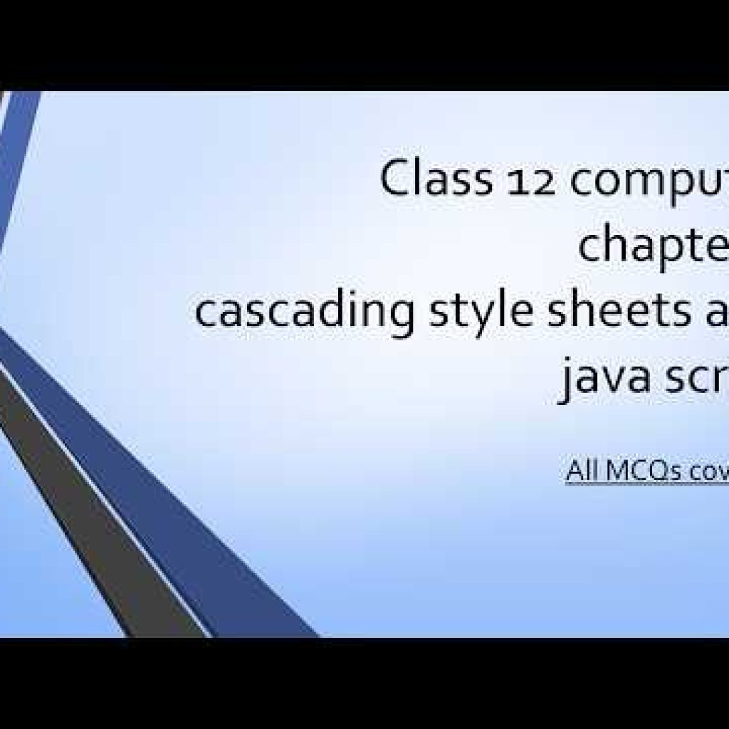class 12 computer chapter 2 Cascading style sheets and java script | All MCQ covered