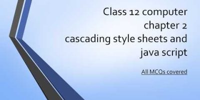 class 12 computer chapter 2 Cascading style sheets and java script | All MCQ covered