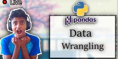 Pandas | AI Engineering for 365 Days | (Day 41/365) [Horizontal Stream]