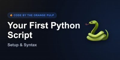 Your FIRST Python Script! (Setup, Syntax & Run Code)